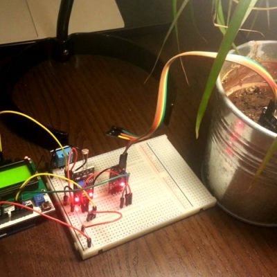 Обзор датчика влажности почвы для Arduino